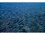 Underwater_Aruba_20050304__3639_1920_banner.jpg